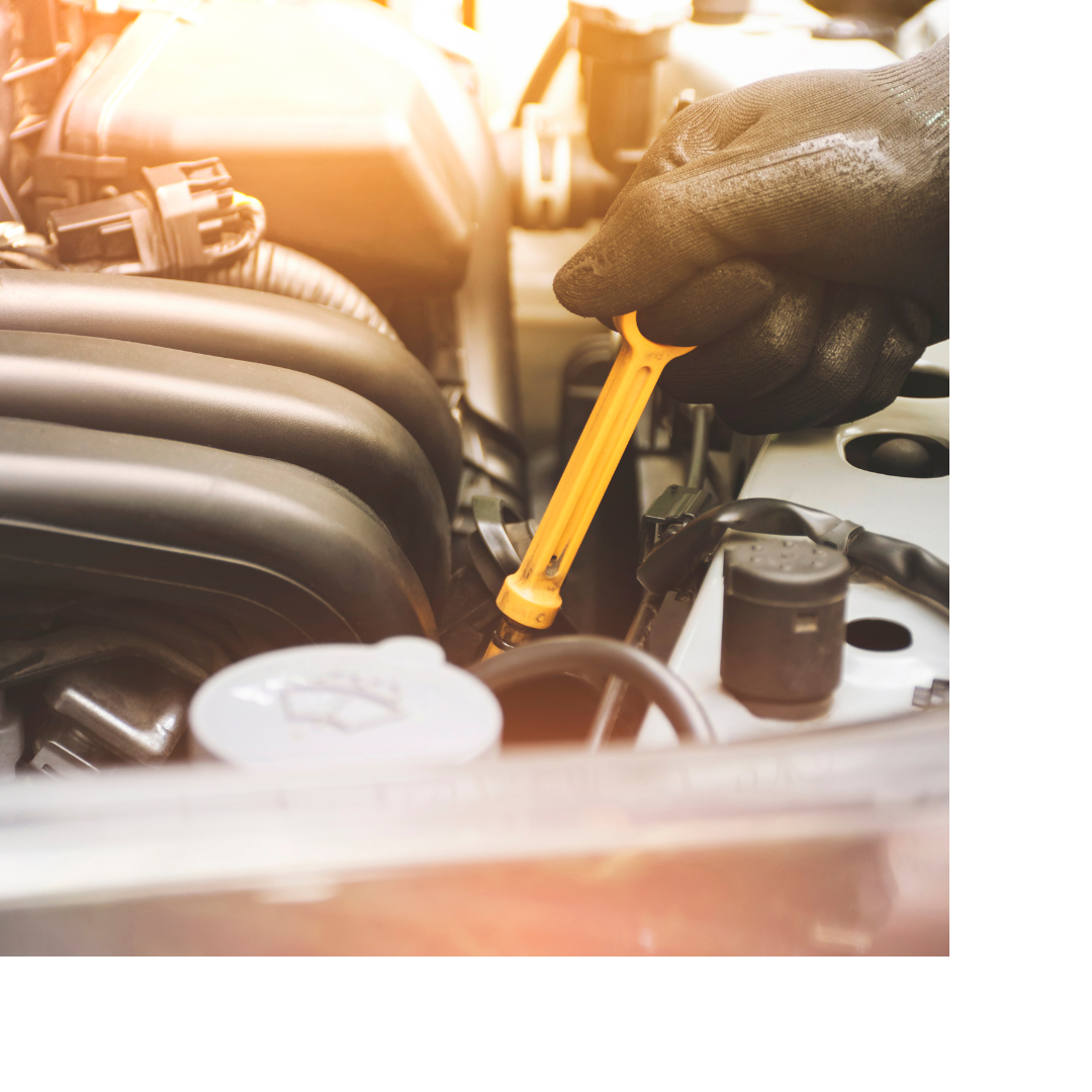 Oil Change Inspection
